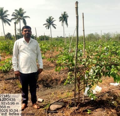 वृक्षारोपण